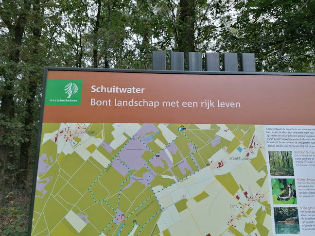 Nationaal Park De Maasduinen