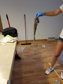 Dust Busters House Cleaning Service Fargo - Photo 9 - Car repair in Moorhead, MN, Fargo