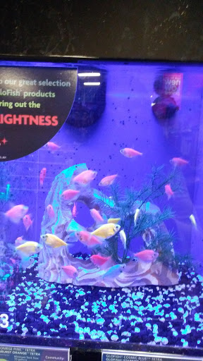 Pet Supply Store «PetSmart», reviews and photos, 2727 Iowa St e, Lawrence, KS 66046, USA