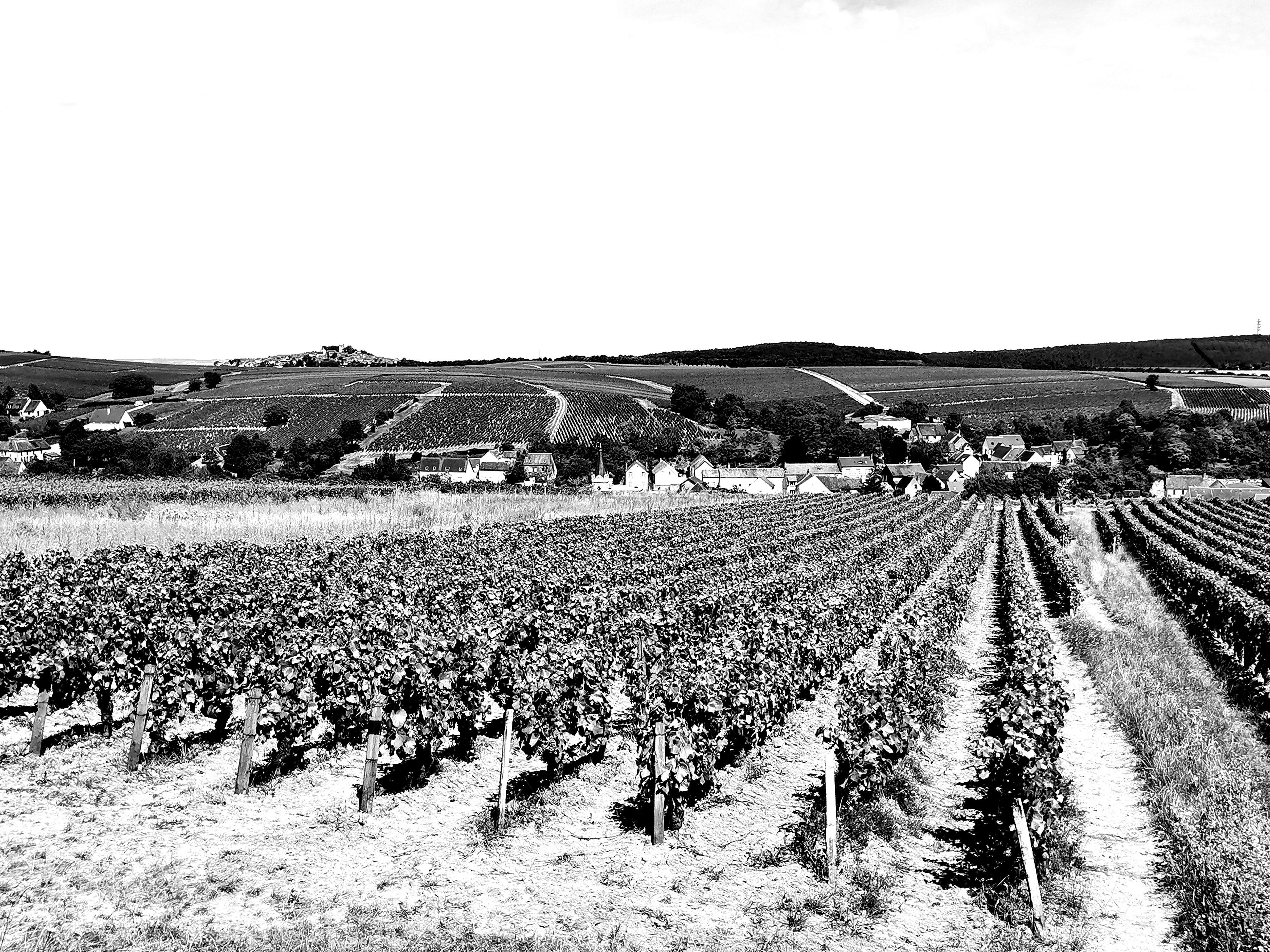 Photo n° 2 de l'avis de Gérald.A fait le 13/07/2022 à 16:57