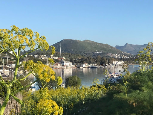 Otel Gümüşlük - Hotel Gumusluk