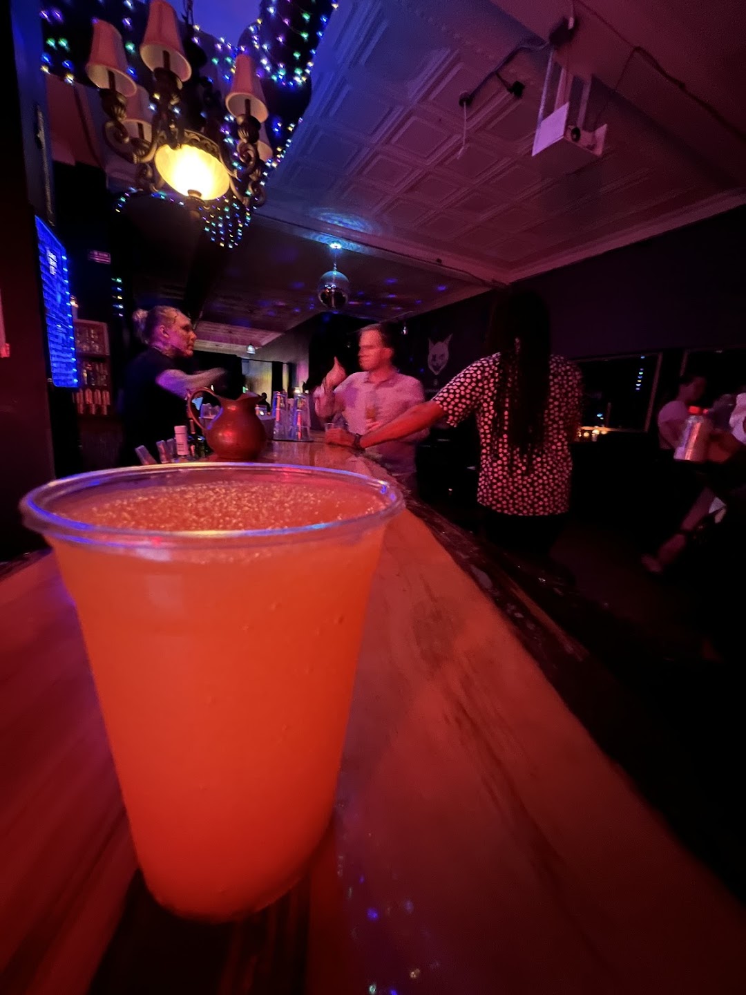 Alley Cat Social Club