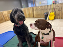 The Animal House - Photo 8 - Car repair in Augusta, GA, Augusta