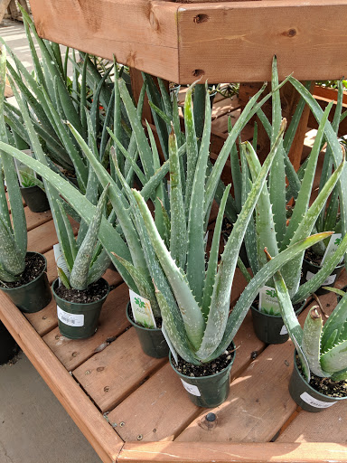 Hardware Store «Orchard Supply Hardware», reviews and photos, 18060 Chatsworth St, Granada Hills, CA 91344, USA