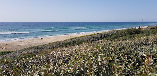 Plage de Biscarrosse