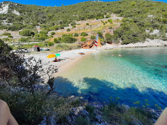 Pavja Luka