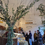 Photo n°2 de l'avis de Maikol.r fait le 12/02/2023 à 14:36 sur le  Mollica à Turin