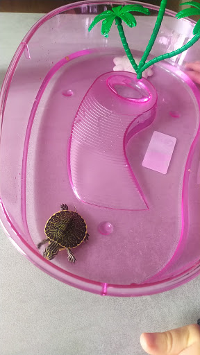 El arca de Andrés - Tomelloso