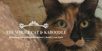 The Whole Cat and Kaboodle