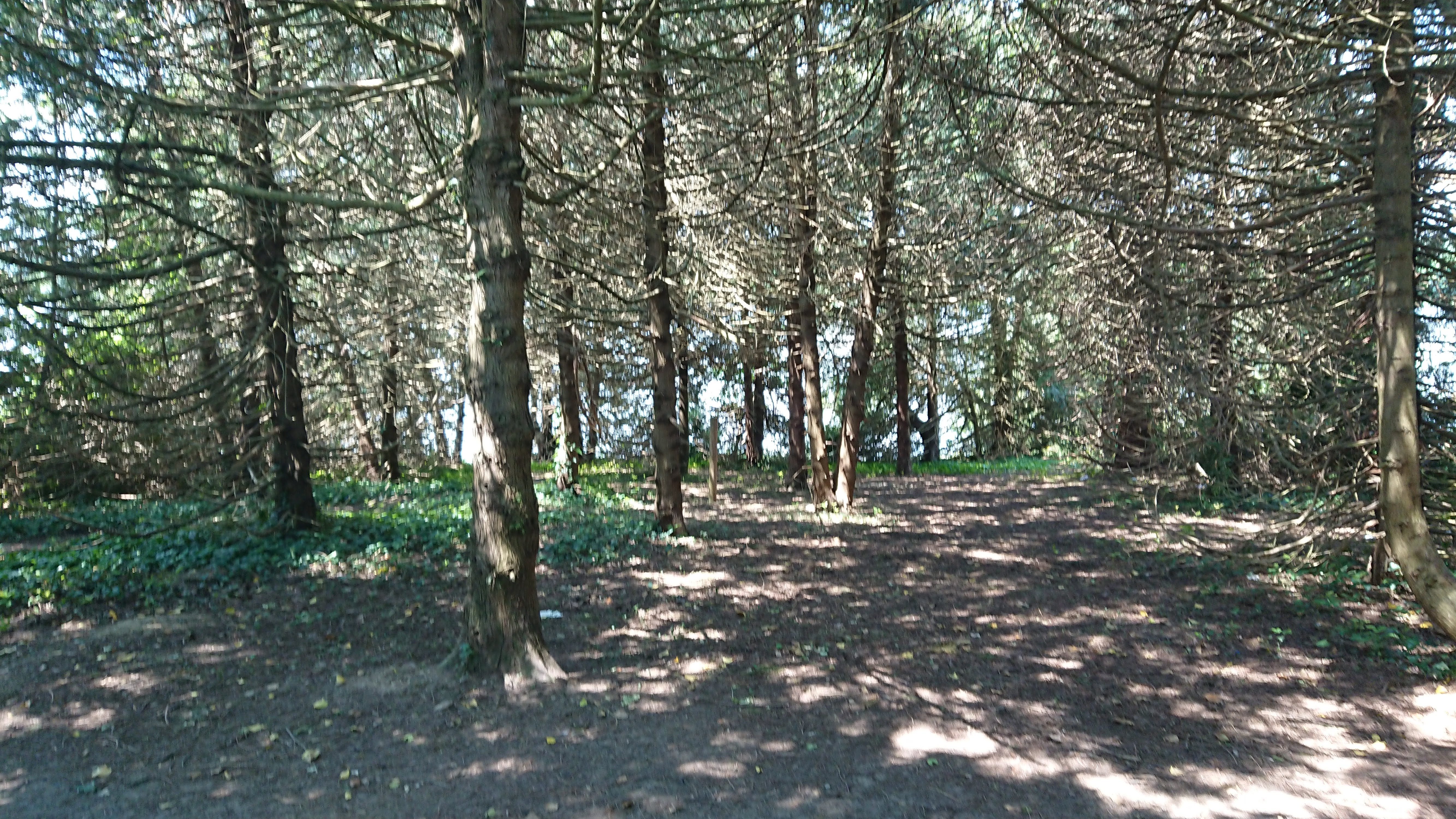 Photo n° 1 de l'avis de Laurent.e fait le 25/05/2018 à 04:39