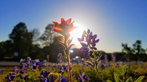 Park «Lakewood Park», reviews and photos, 7143 Williamson Rd, Dallas, TX 75214, USA