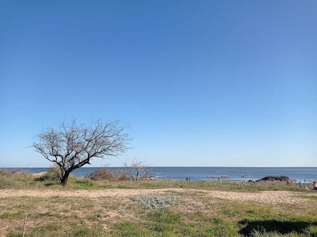 Punta Espinillos - Sarandí Grande