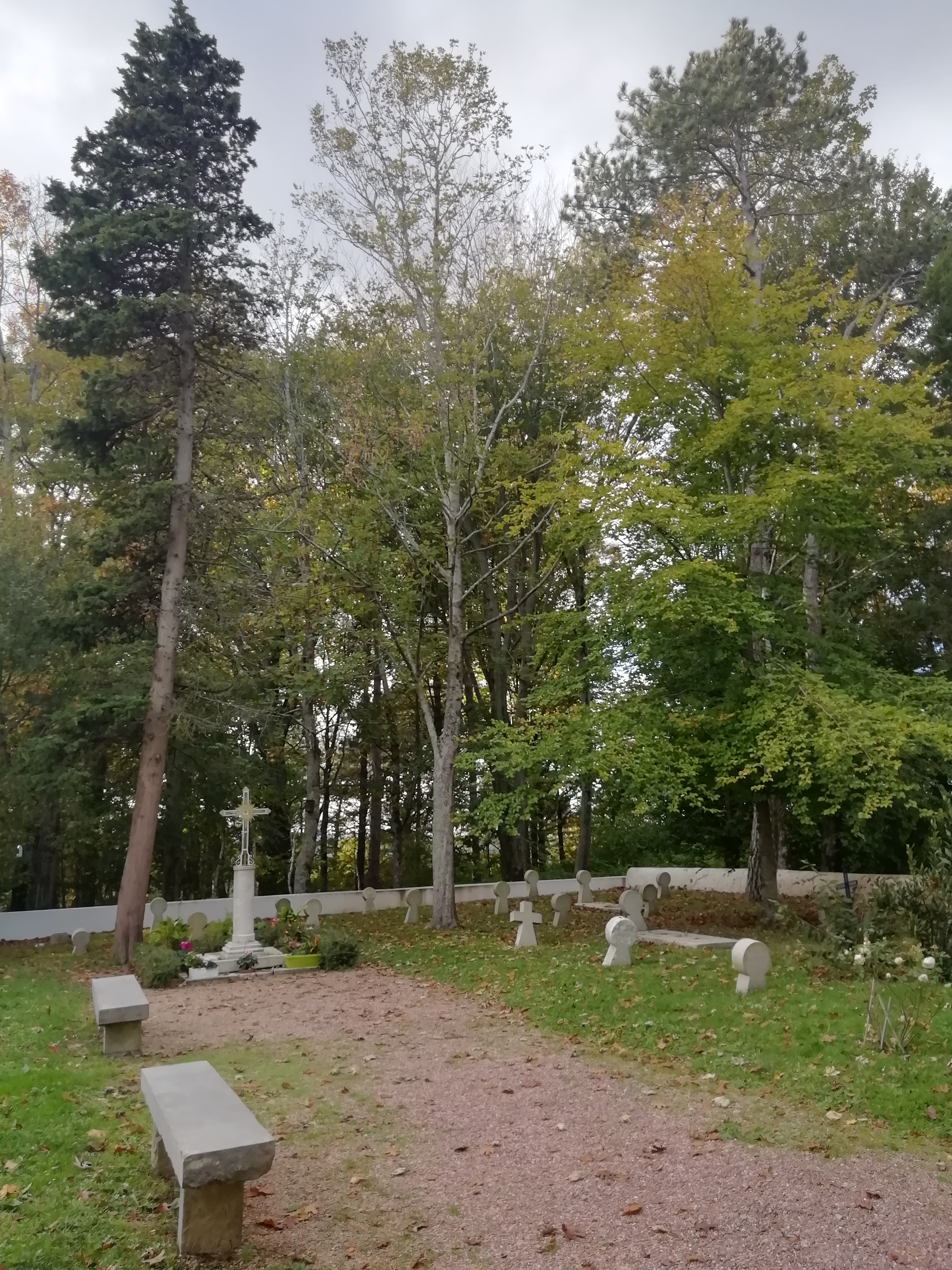 Photo n° 2 de l'avis de Véronique. fait le 08/11/2021 à 01:33