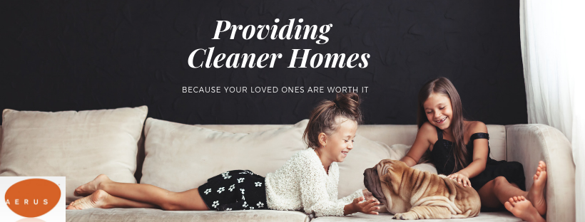 Aerus Electrolux Vacuums Albany