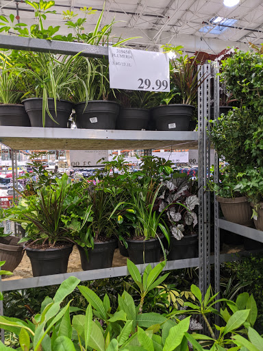 Warehouse store «Costco Wholesale», reviews and photos, 27220 Heather Ridge Rd, Laguna Niguel, CA 92677, USA