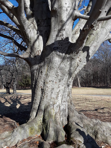 Park «Francis William Bird Park», reviews and photos, 251 Washington St, East Walpole, MA 02032, USA