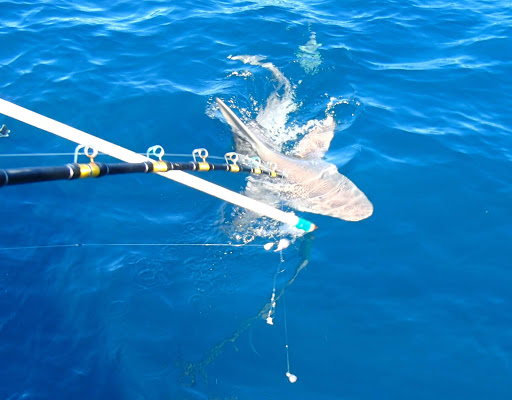 Fishing Charter «Obsession Fishing Charters», reviews and photos, 505 Glen Cheek Dr, Cape Canaveral, FL 32920, USA