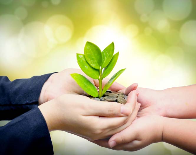 Natural Helping Hands, LLC 72801