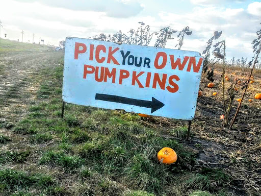 Pampered Pumpkin CSA & Pumpkin Patch, 11810 MN-7, Watertown, MN 55388, USA, 