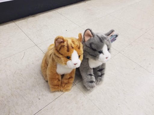 Pet Supply Store «Petco Animal Supplies», reviews and photos, 1169 Valley River Dr, Eugene, OR 97401, USA