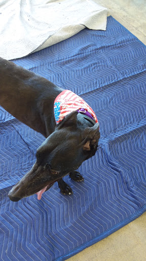 Pet Supply Store «Centinela Feed & Pet Supplies», reviews and photos, 22840 Hawthorne Blvd, Torrance, CA 90505, USA