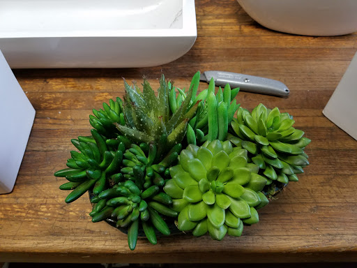 Florist «Flowers & Found Objects», reviews and photos, 521 E Las Olas Blvd, Fort Lauderdale, FL 33301, USA