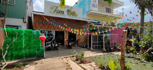 Studio Tim Yêu