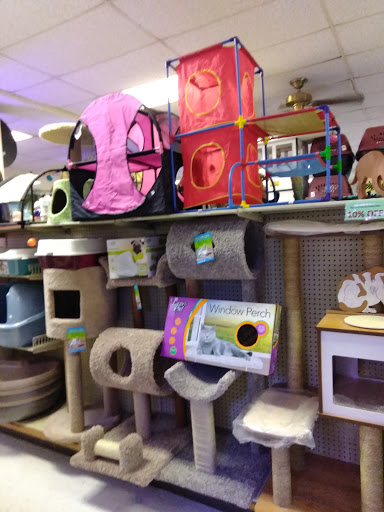 Pet Store «Forever Pets Inc», reviews and photos, 1030 Basse Rd, San Antonio, TX 78212, USA