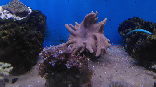 Pet Supply Store «Petco Animal Supplies», reviews and photos, 5975 20th St, Vero Beach, FL 32966, USA