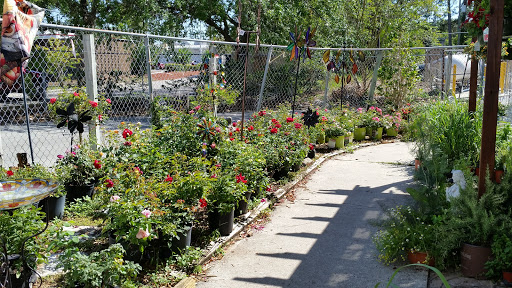 Hardware Store «Proctor Ace Hardware», reviews and photos, 5723 University Blvd W, Jacksonville, FL 32216, USA