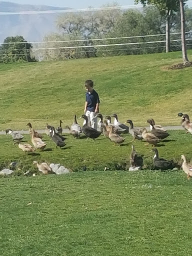 Park «Manila Creek Park», reviews and photos, 706 W 3300 N, Pleasant Grove, UT 84062, USA