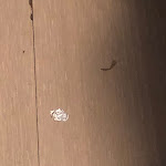 Photo n°1 de l'avis de Ylenia.o fait le 23/08/2021 à 19:19 sur le  Hotel - Hostel Colombo à Venice