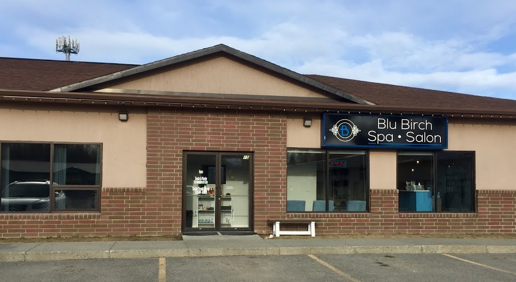 Blu Birch Spa and Salon 99654