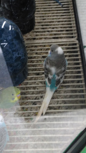 Pet Supply Store «Petco Animal Supplies», reviews and photos, 19 Shining Willow Way, La Plata, MD 20646, USA