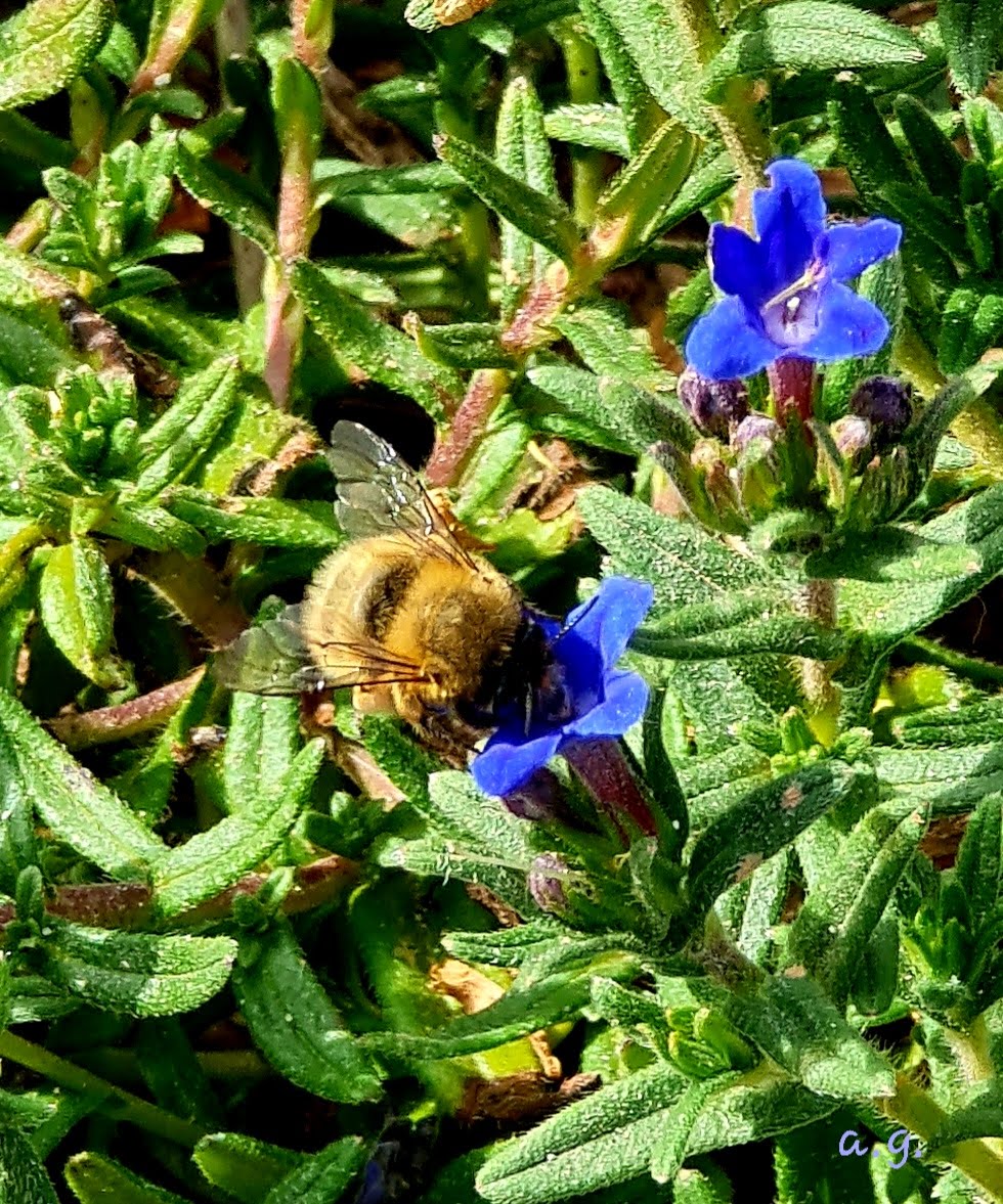 Photo n° 18 de l'avis de Annie.a fait le 18/04/2021 à 12:44