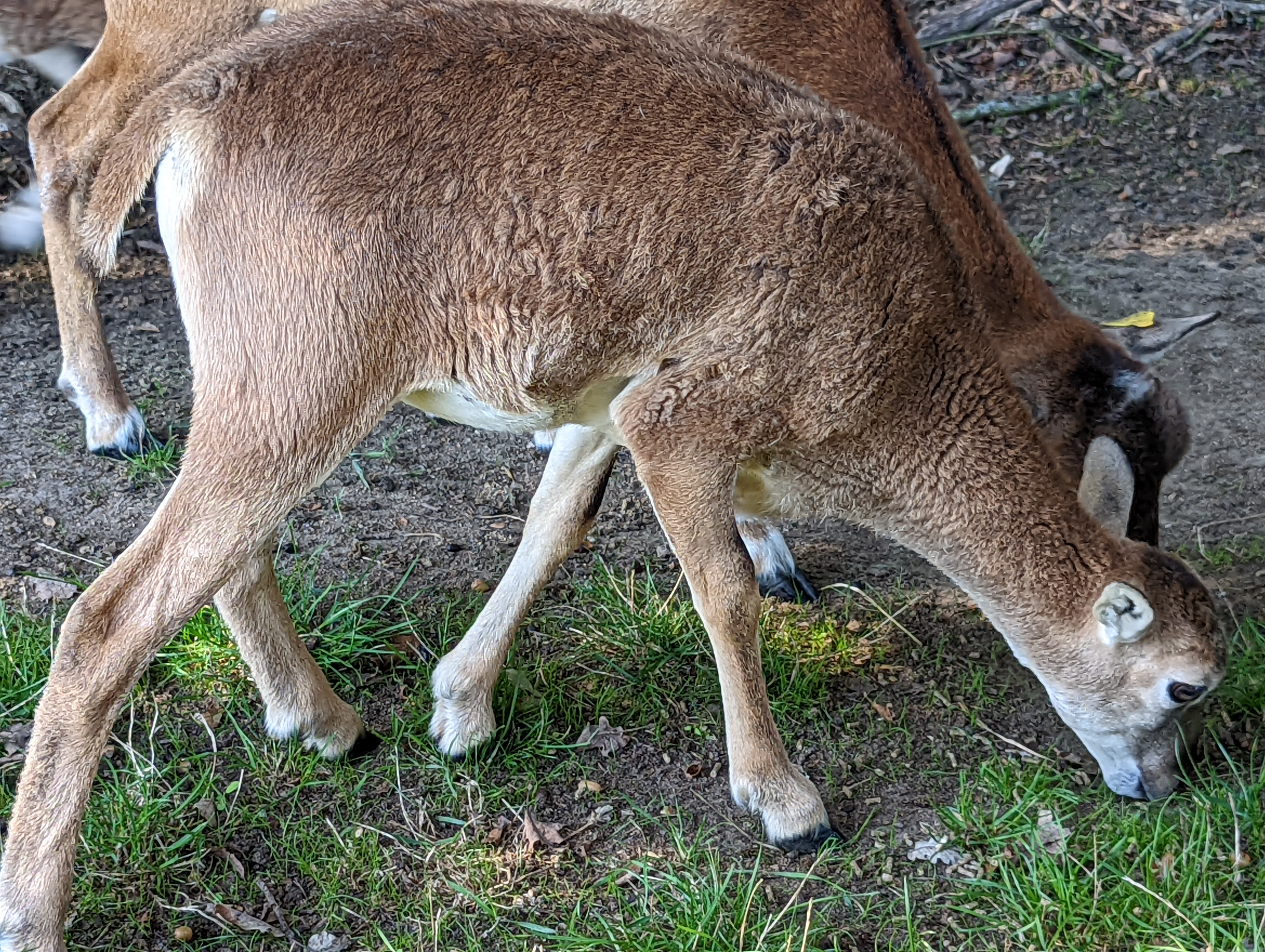 Photo n° 7 de l'avis de Virginie.e fait le 18/09/2022 à 19:51