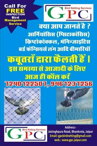 Gpc Bird Netting Services