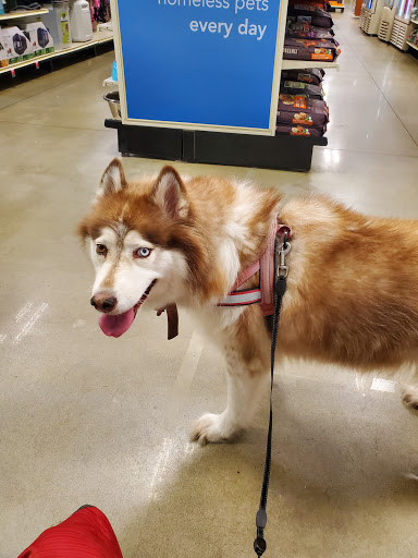 Pet Supply Store «PetSmart», reviews and photos, 300 NJ-18, East Brunswick, NJ 08816, USA