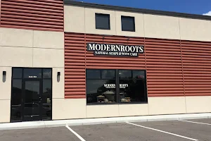 MODERNROOTS image