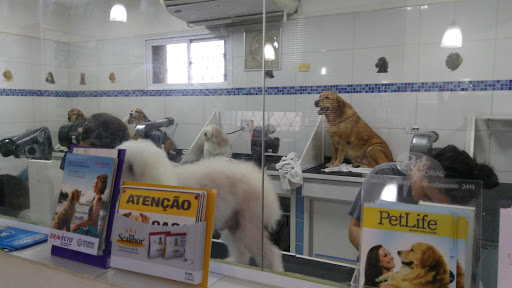 Logo da empresa - Star Pet