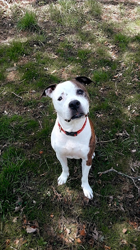 Pet Supply Store «Petco Animal Supplies», reviews and photos, 1450 Twixt Town Rd, Marion, IA 52302, USA