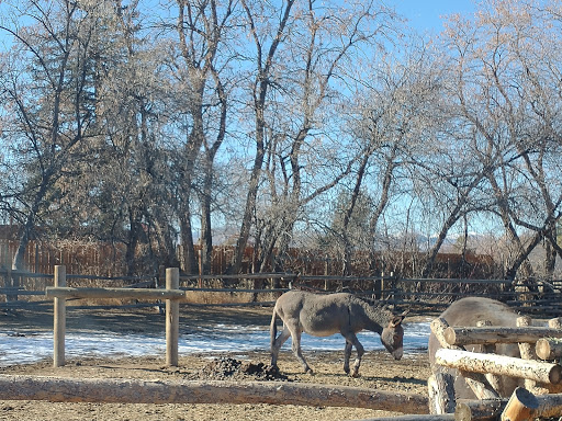 Museum «Littleton Museum», reviews and photos, 6028 S Gallup St, Littleton, CO 80120, USA