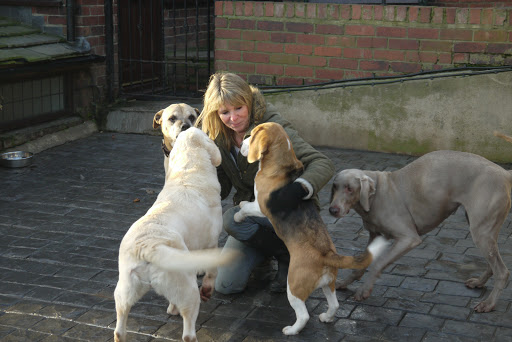 Ayranbrau Kennels & Cattery