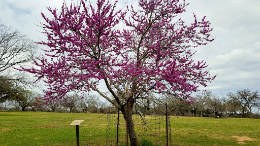 State Park «Lyndon B. Johnson State Park & Historic Site», reviews and photos, 199 Park Road 52, Stonewall, TX 78671, USA