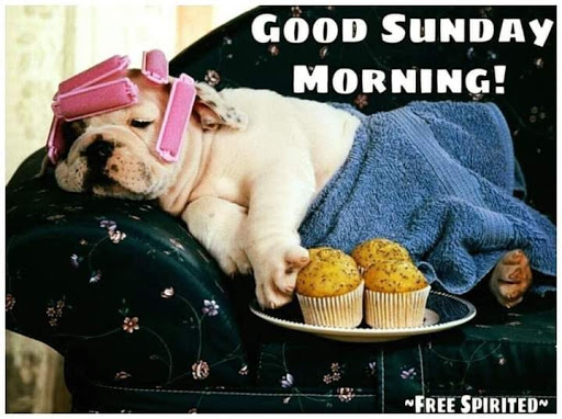 Beauty Salon «Clipper Hair Salon», reviews and photos, 9114 US-192, Clermont, FL 34714, USA