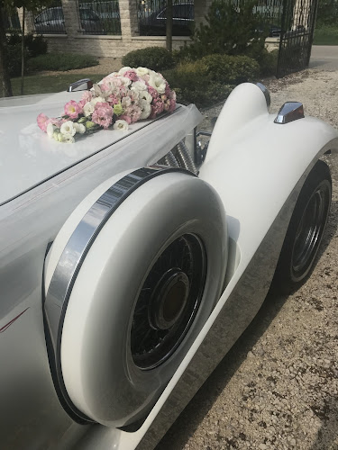 Hozzászólások és értékelések az Esküvői autó/Oldtimer bérlés/ Vip Classic Car-ról
