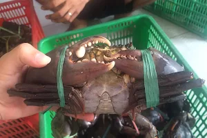 Raja Kepiting Syaiful Crabs Indonesia image