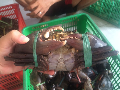 Raja Kepiting Syaiful Crabs Indonesia