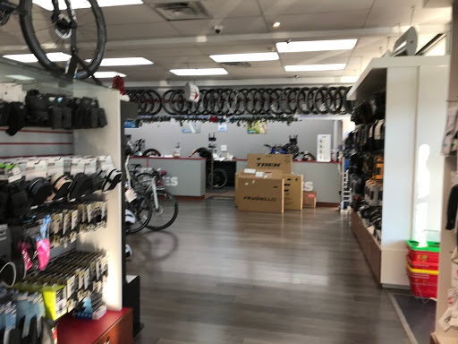 Bicycle Store «City Bikes Aventura», reviews and photos, 20335 Biscayne Blvd, Aventura, FL 33180, USA