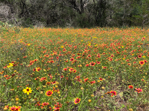 Non-Profit Organization «Westcave Outdoor Discovery Center», reviews and photos, 24814 Hamilton Pool Rd, Round Mountain, TX 78663, USA